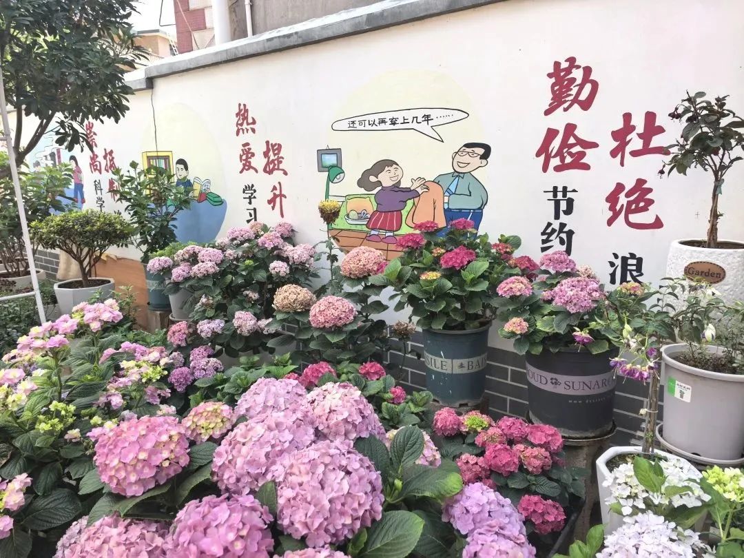 微信圖片_20250714092551.jpg