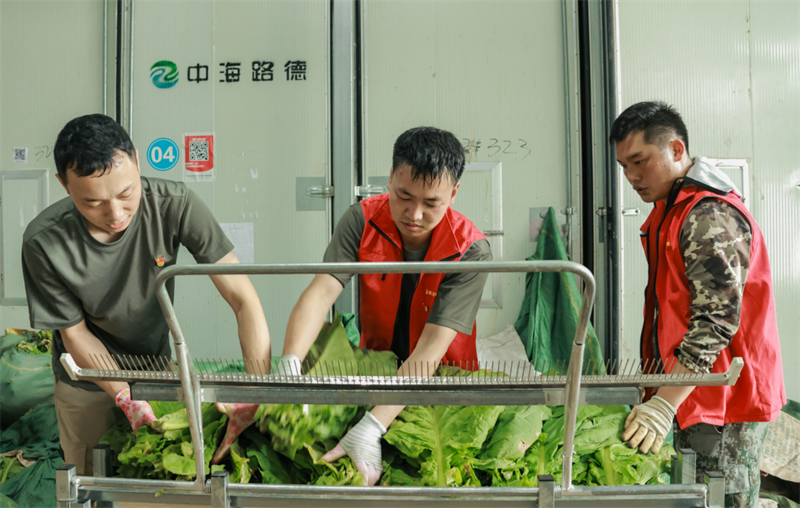 wechat_2025-07-29_091704_560.png