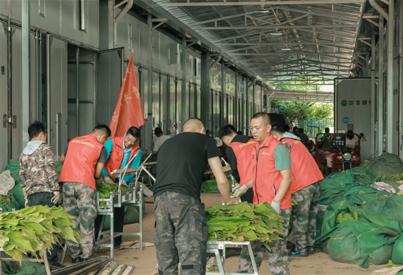 wechat_2025-07-29_091617_744.png